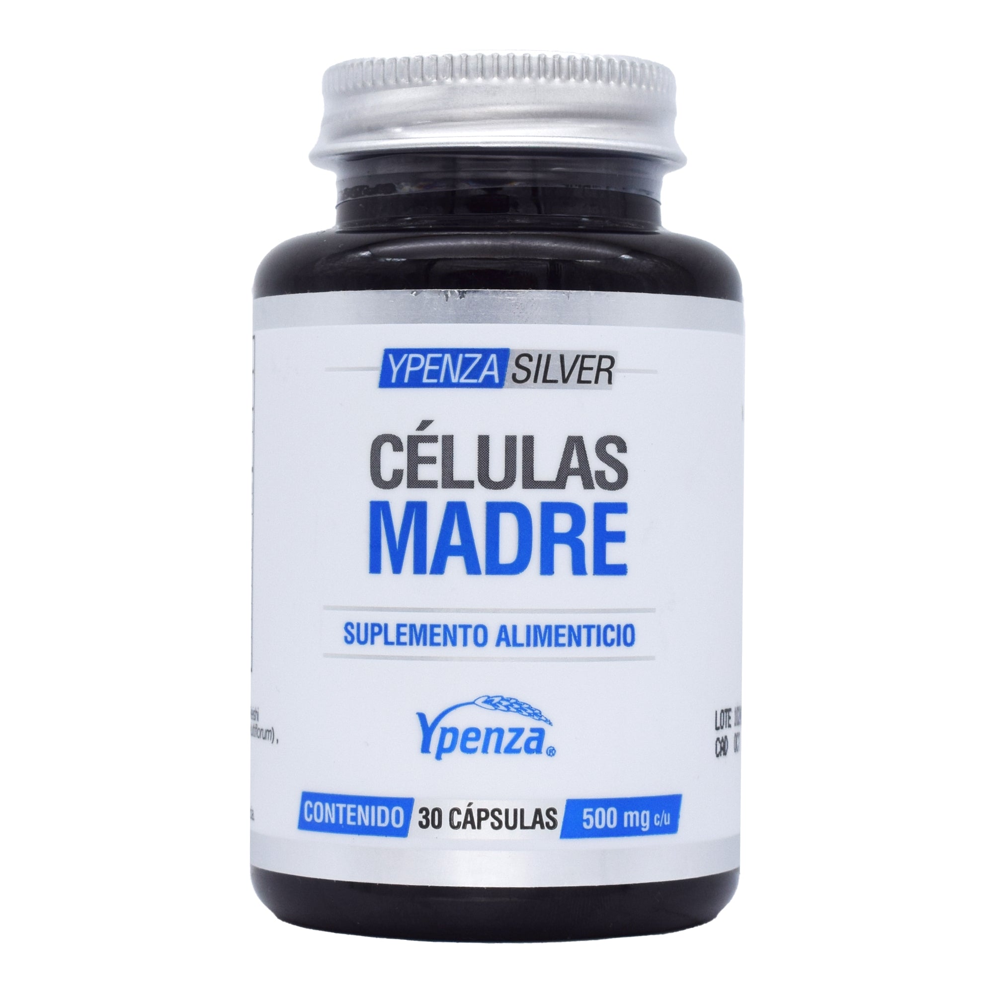 Celulas Madre 30 Cap