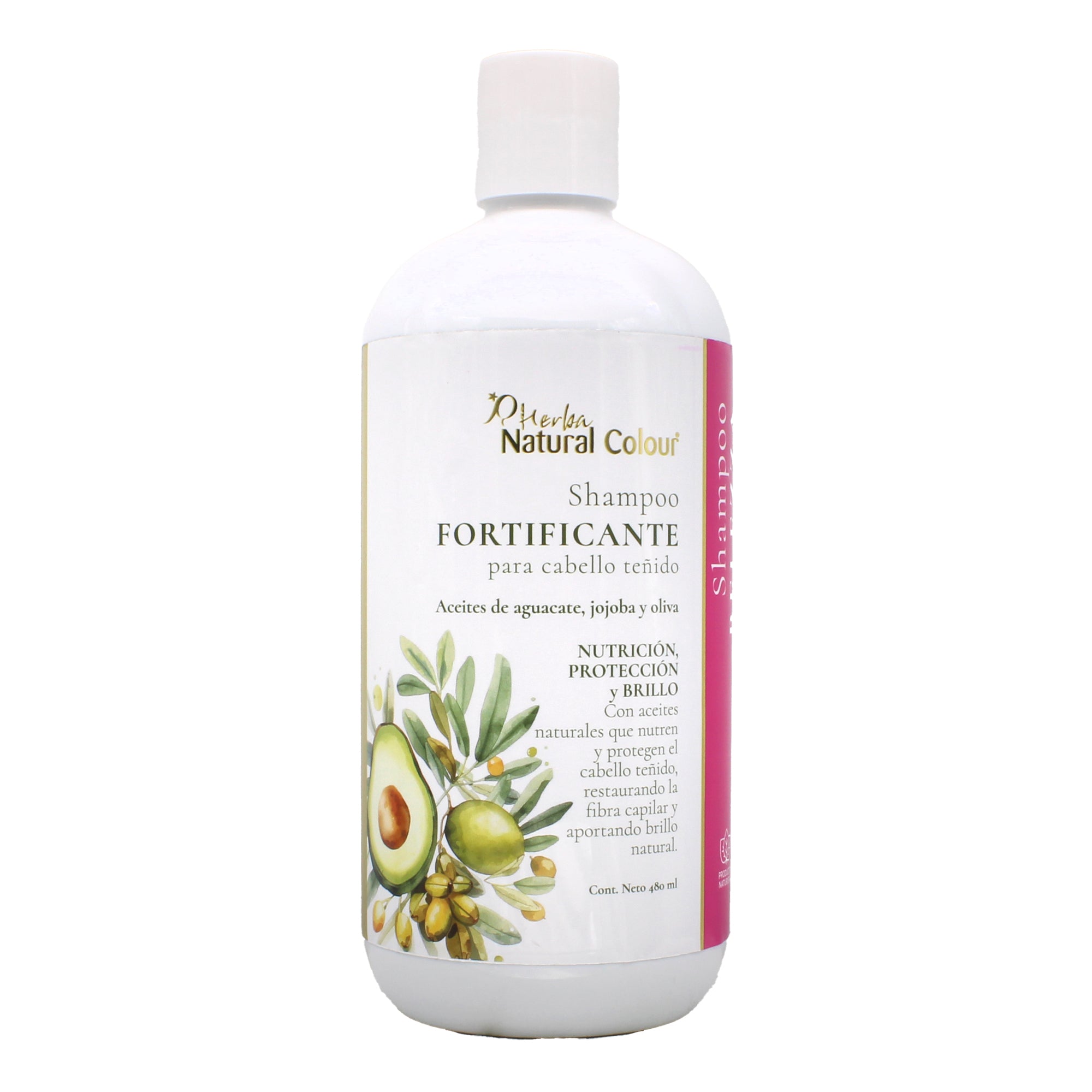 Shampoo Fortificante Para Cabello Teñido 480 Ml