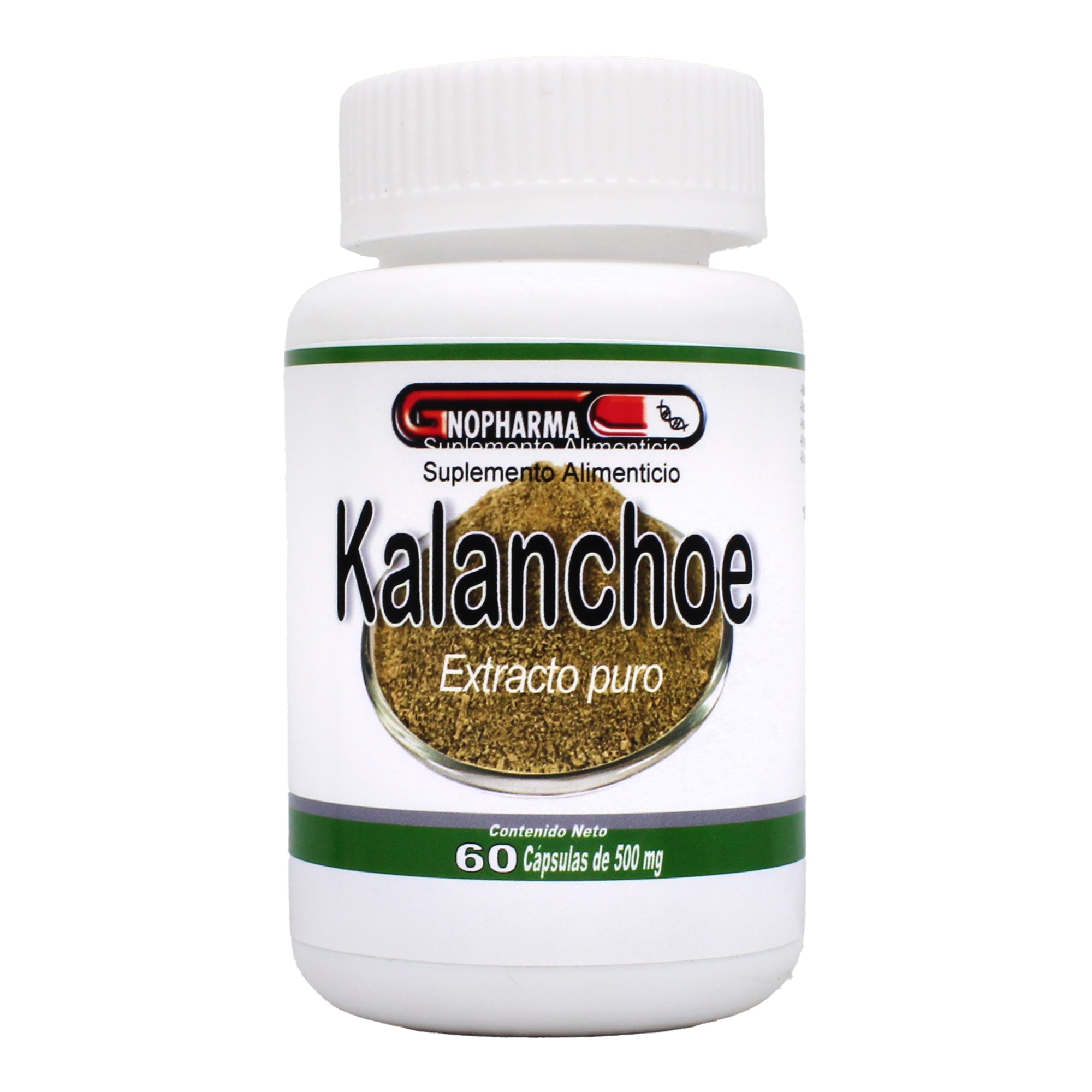 Kalanchoe 60 Cap