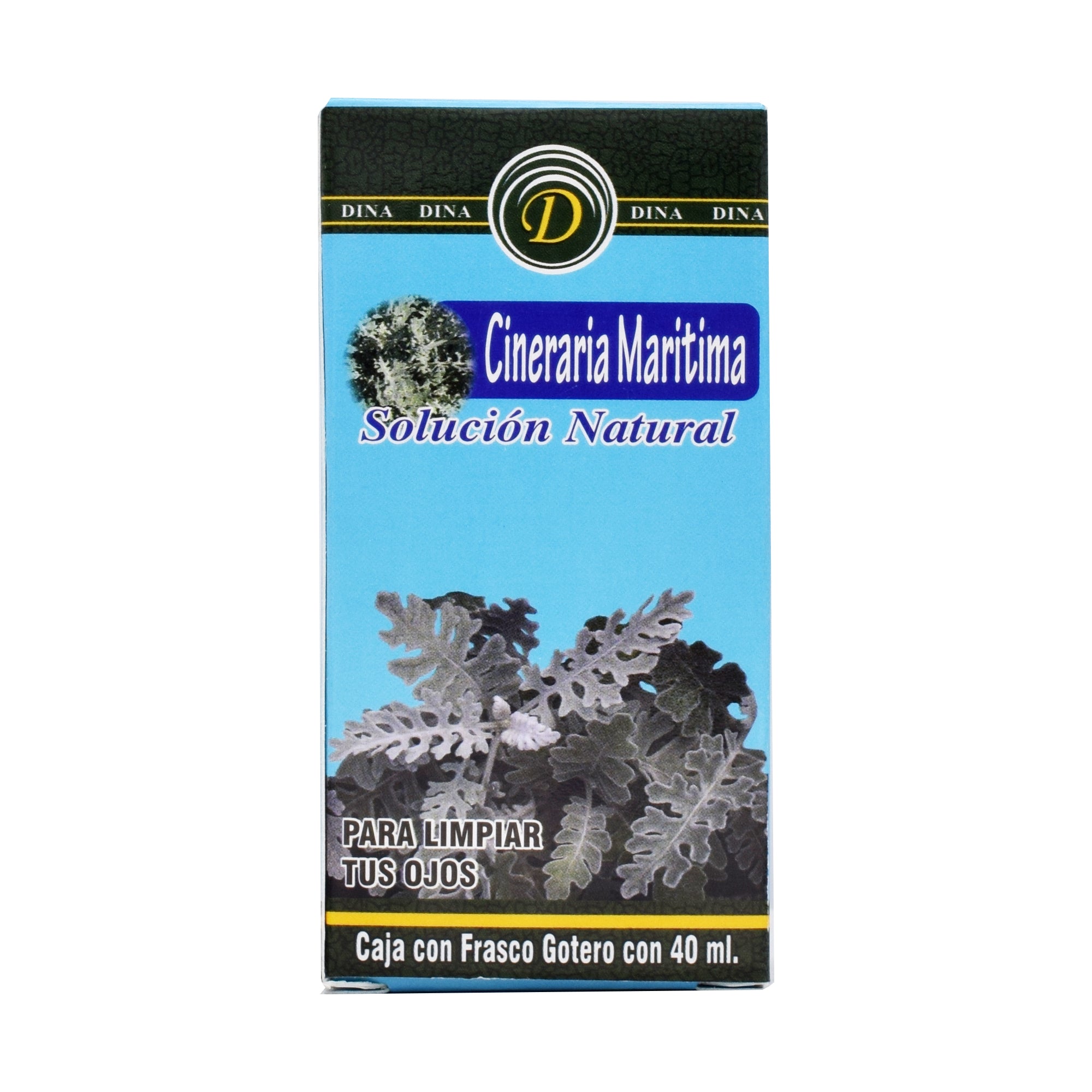 Cineraria Maritima 40 Ml