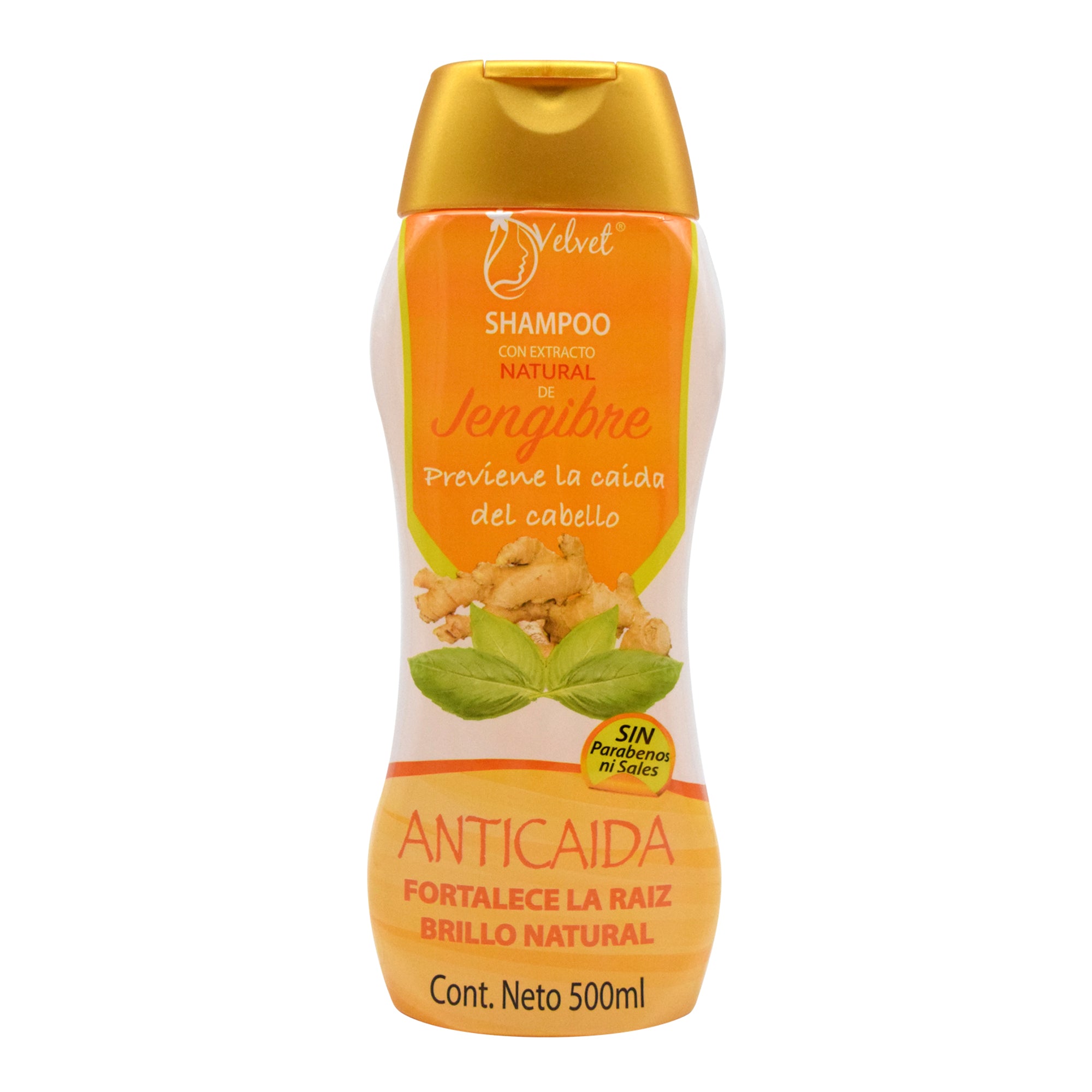 Shampoo Jengibre 500 Ml