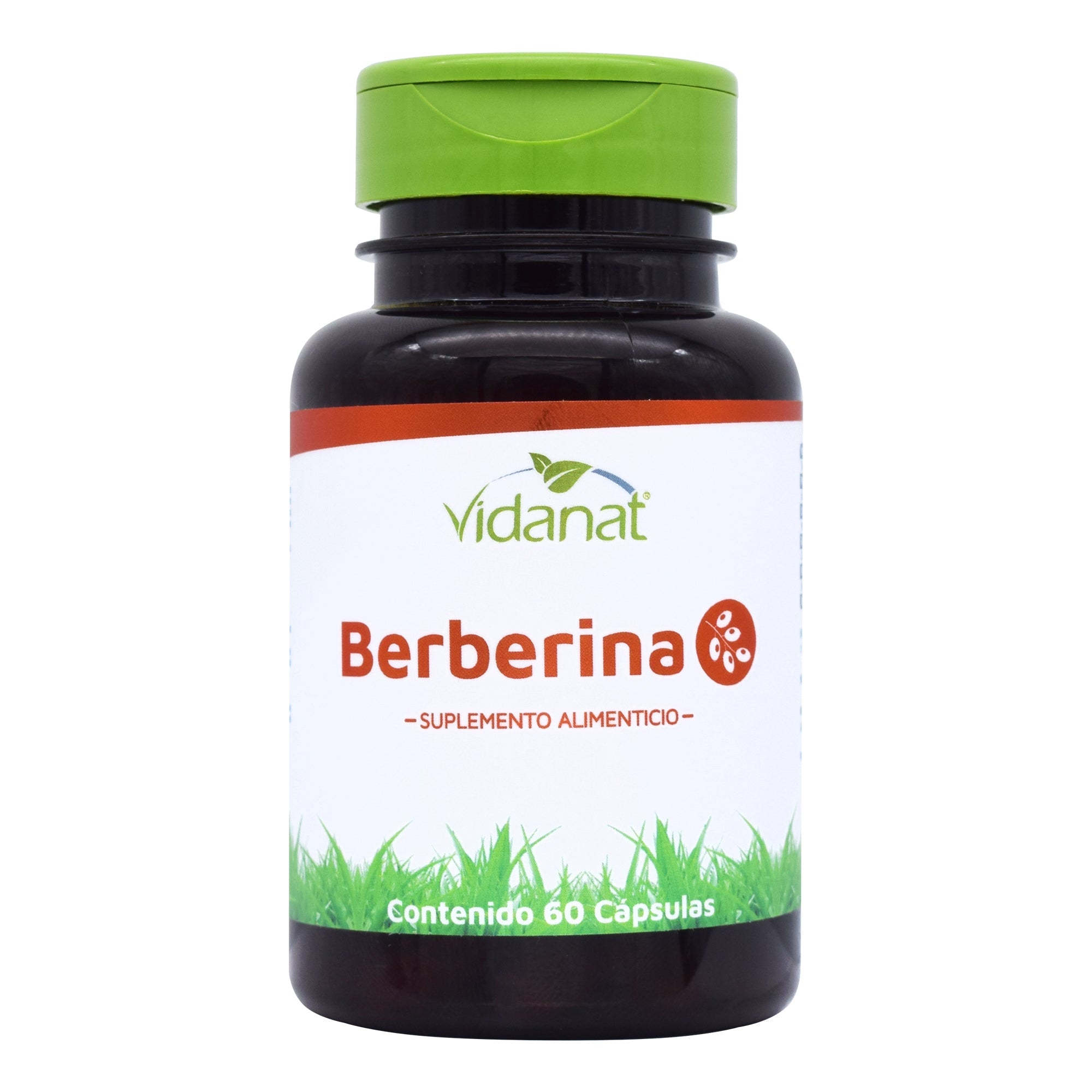 Berberina 60 Cap