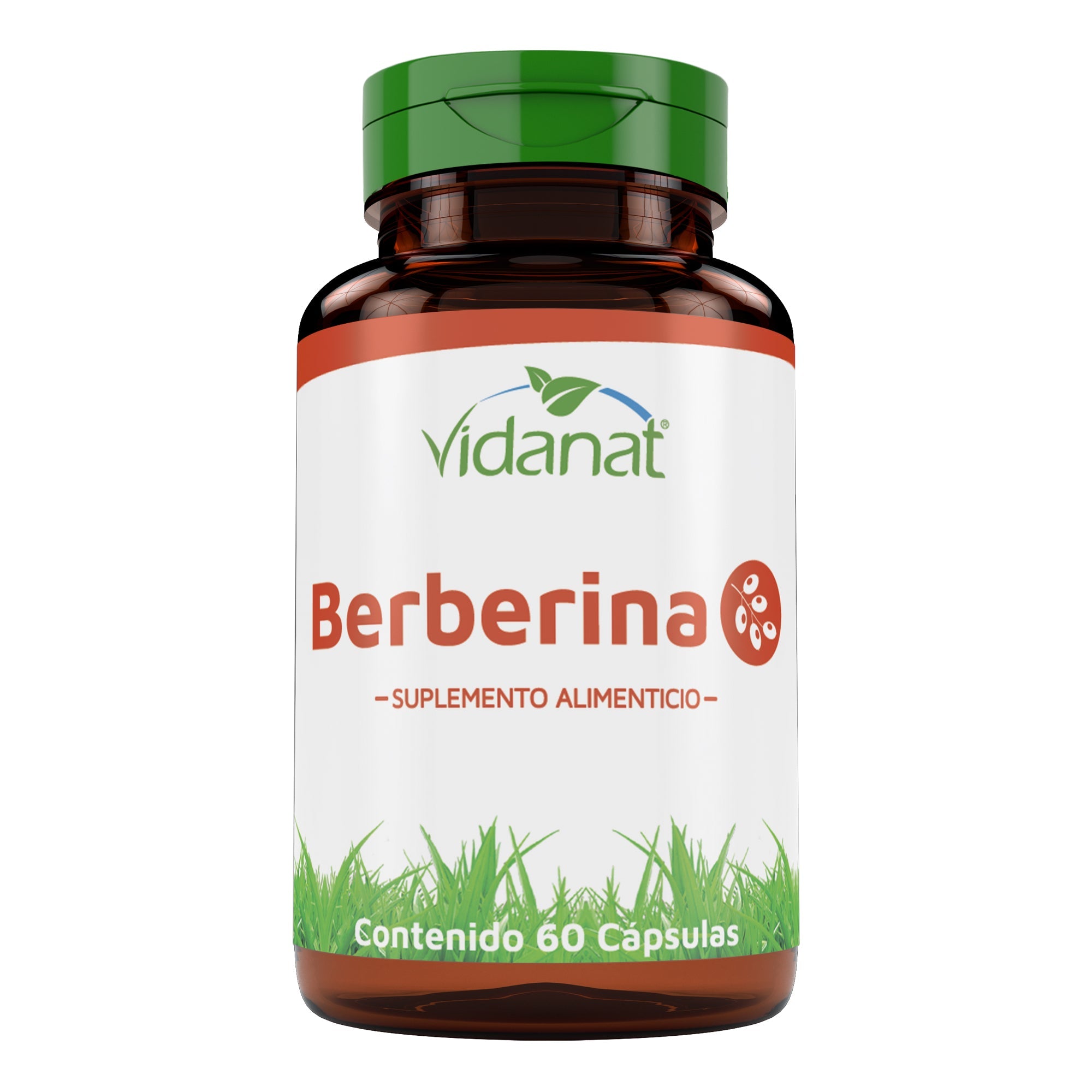 Berberina 60 Cap