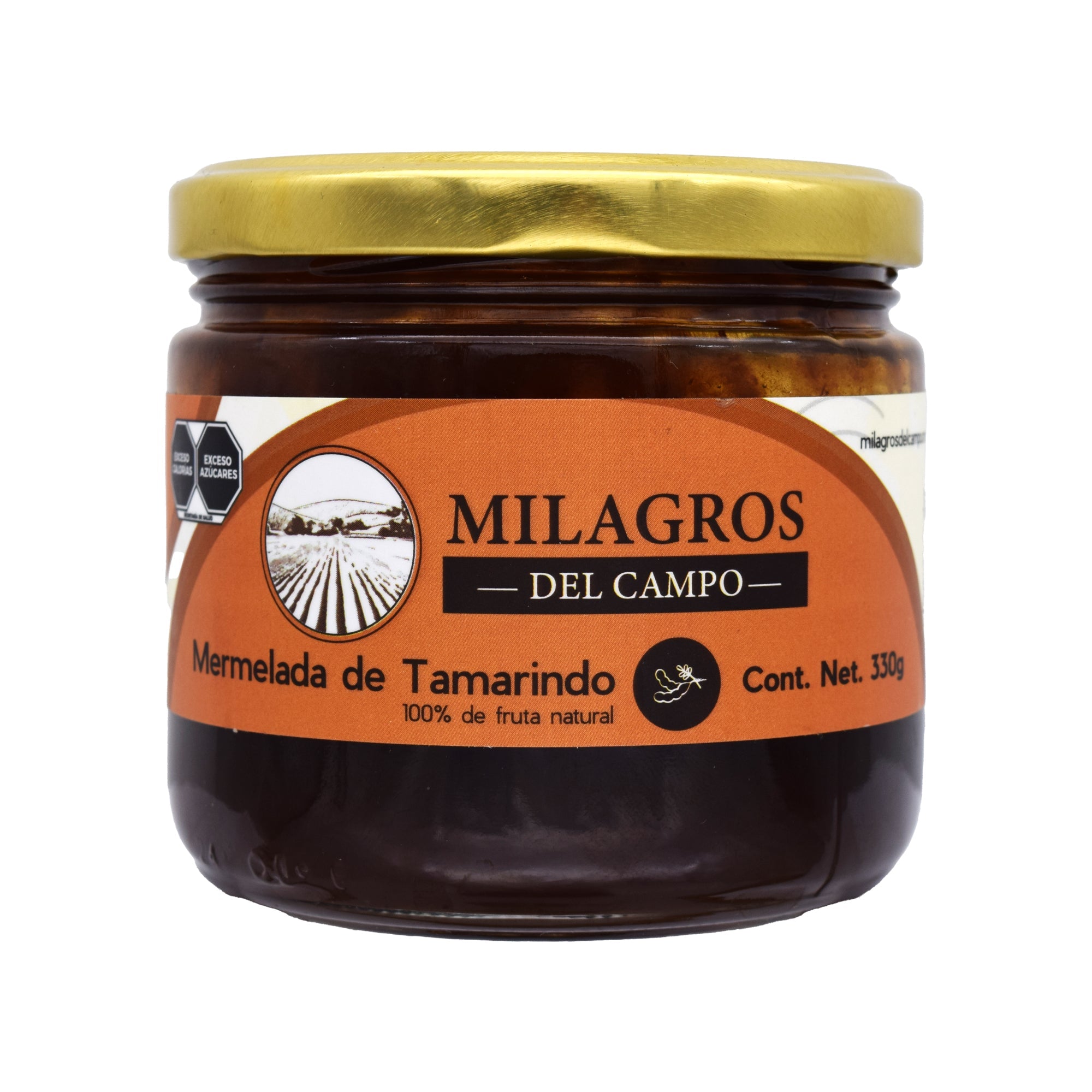 Mermelada De Tamarindo 330 G