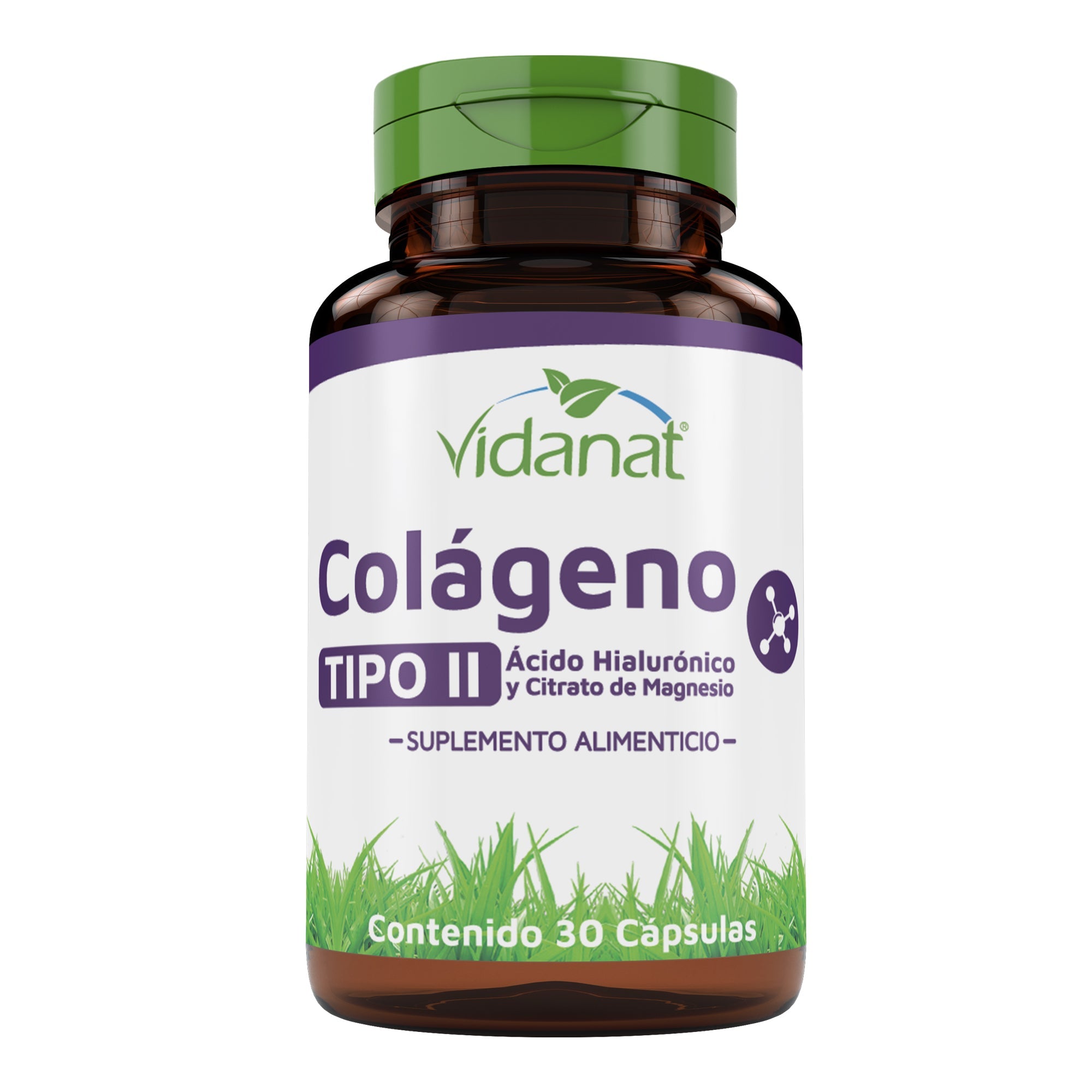 Colageno Tipo Ii Acido Hialuronico Magnesio 30 Cap