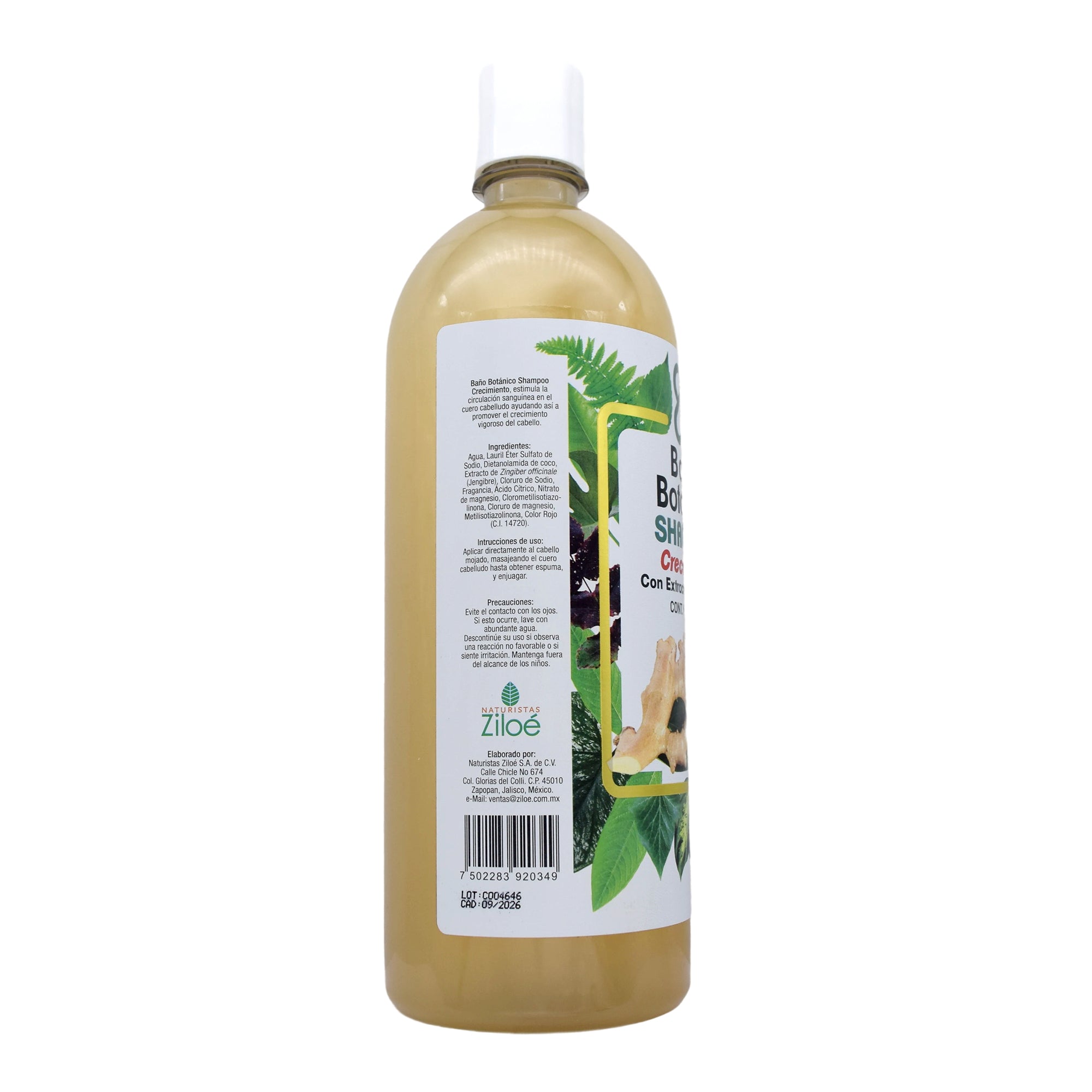Shampoo Crecimiento Extracto De Jengibre 1 L