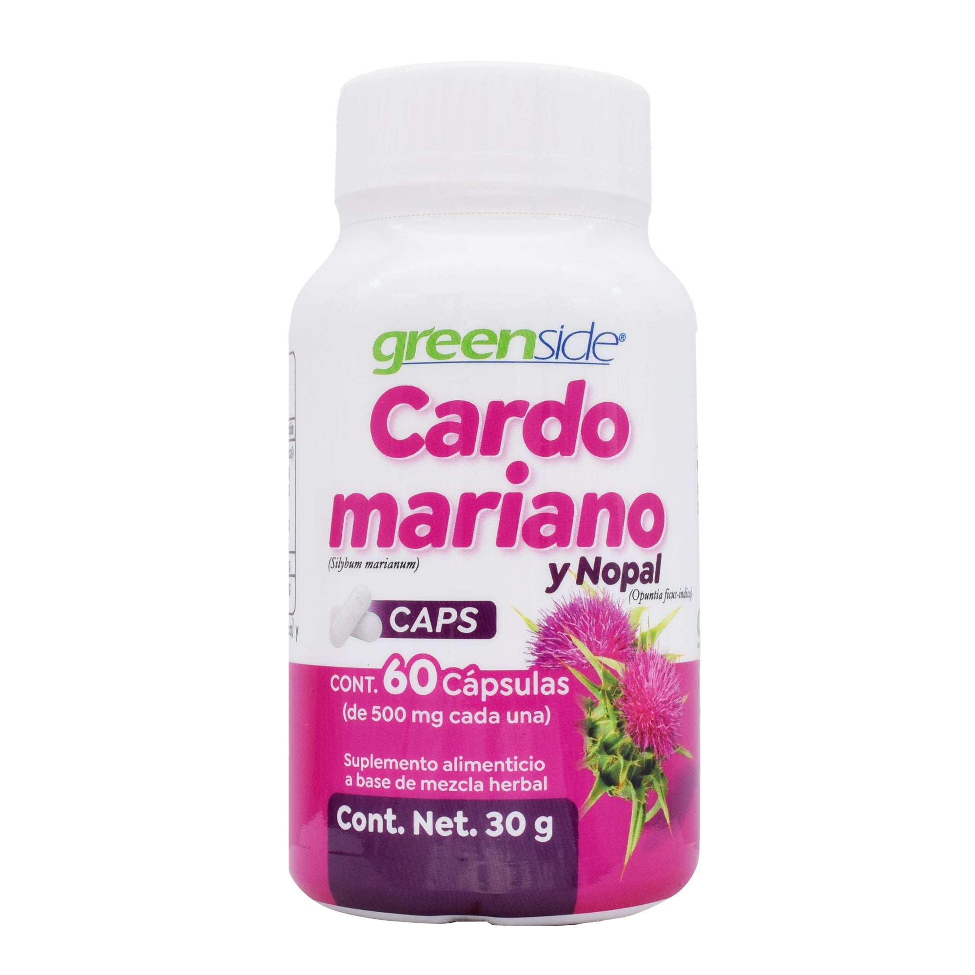 Cardo Mariano 60 Cap