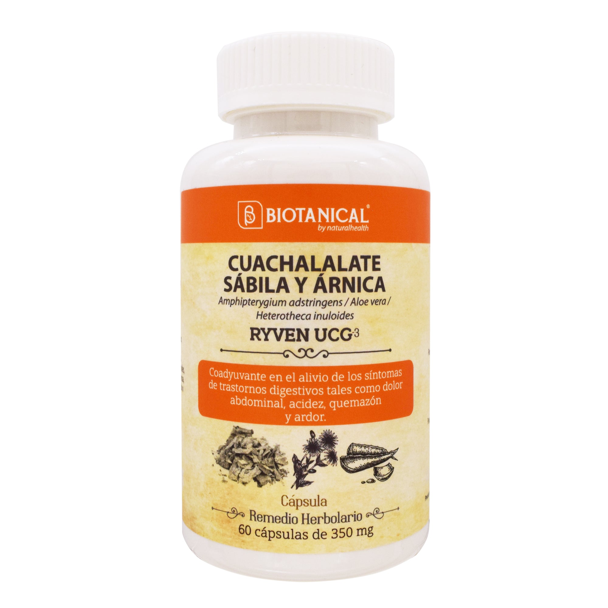 Cuachalalate Sabila Y Arnica 60 Cap