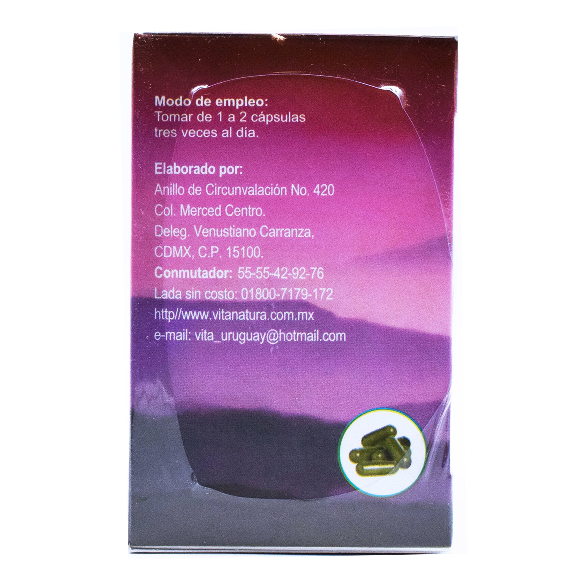 Gastrovita 500Mg 40 Cap