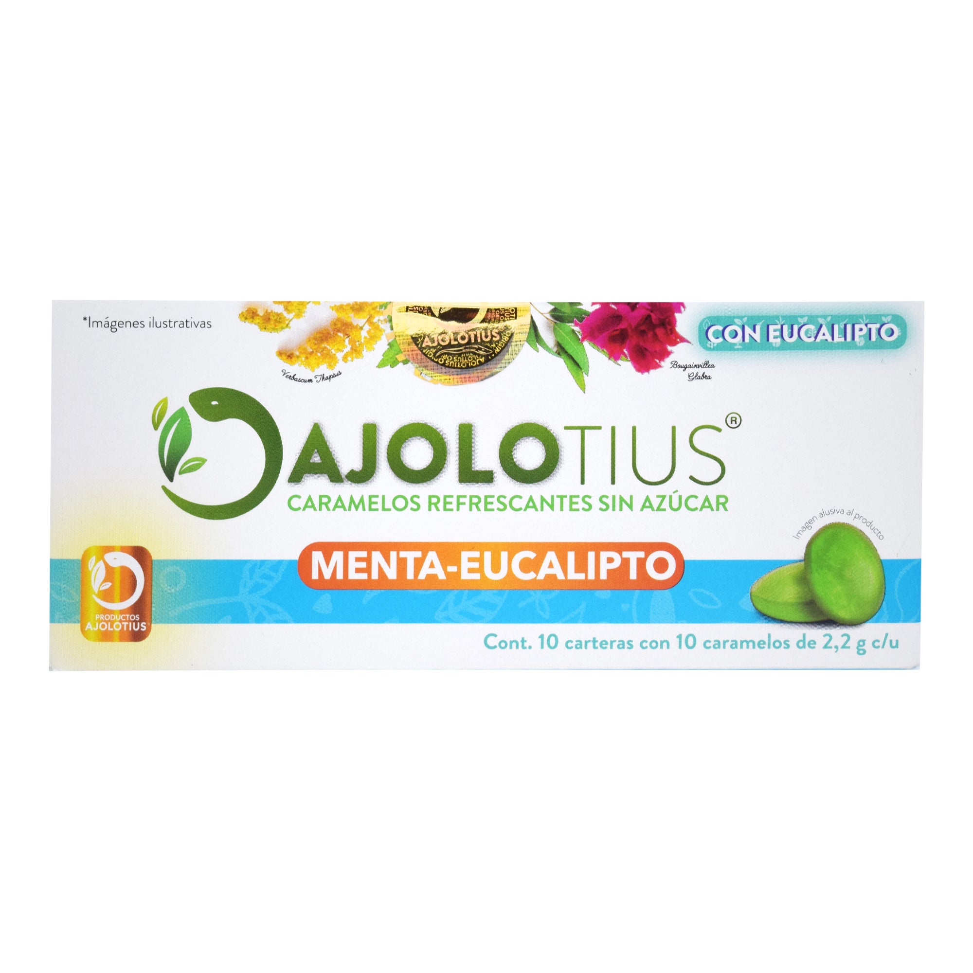Pastillas Refrescantes Menta Eucalipto 22 G (Paquete 10)