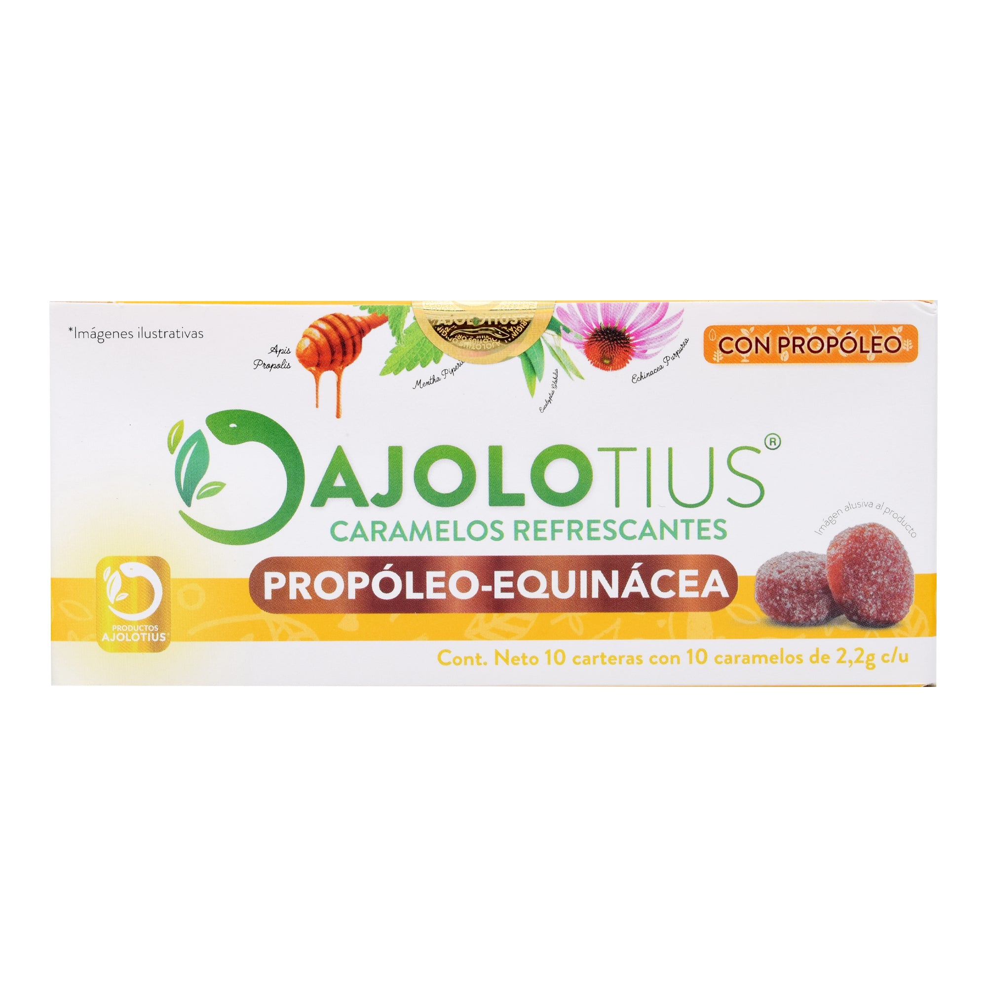 Pastillas Refrescantes Propoleo Equinacea 22 G (Paquete 10)