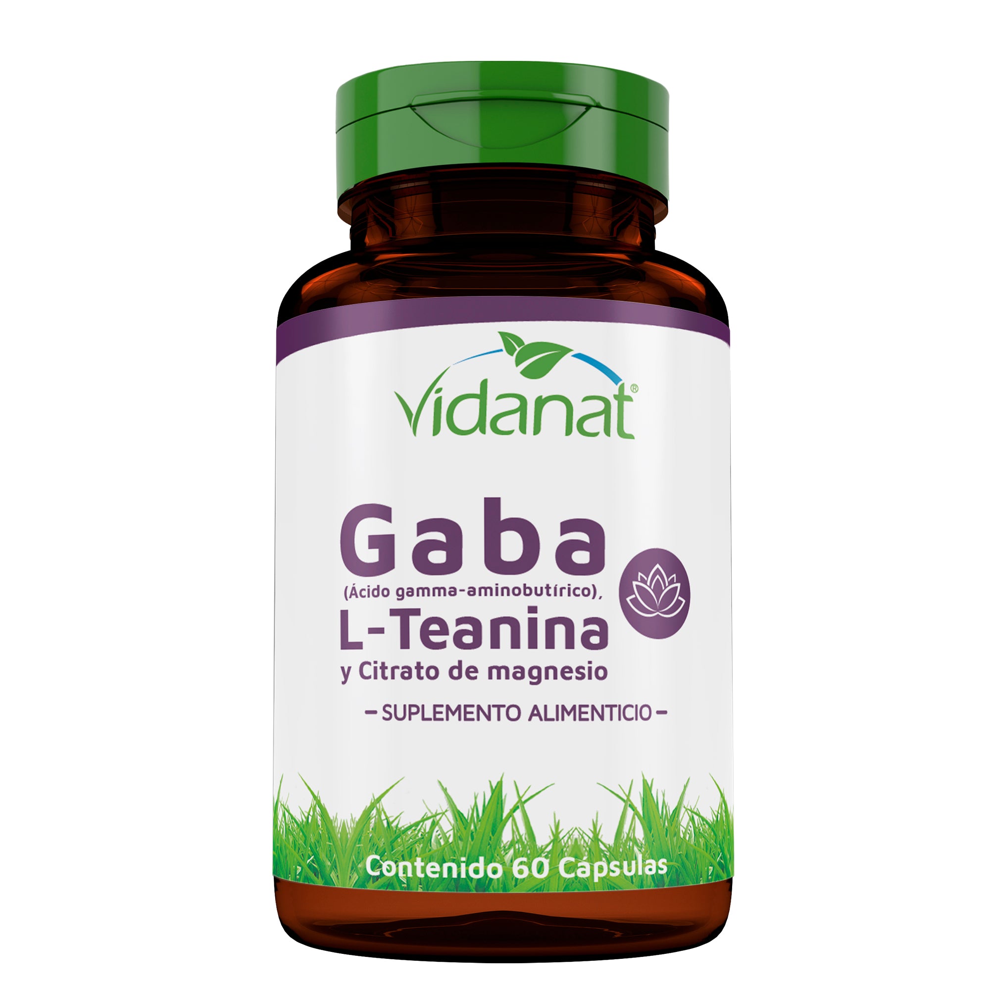 Gaba  L Teanina  Citrato De Magnesio 60 Cap