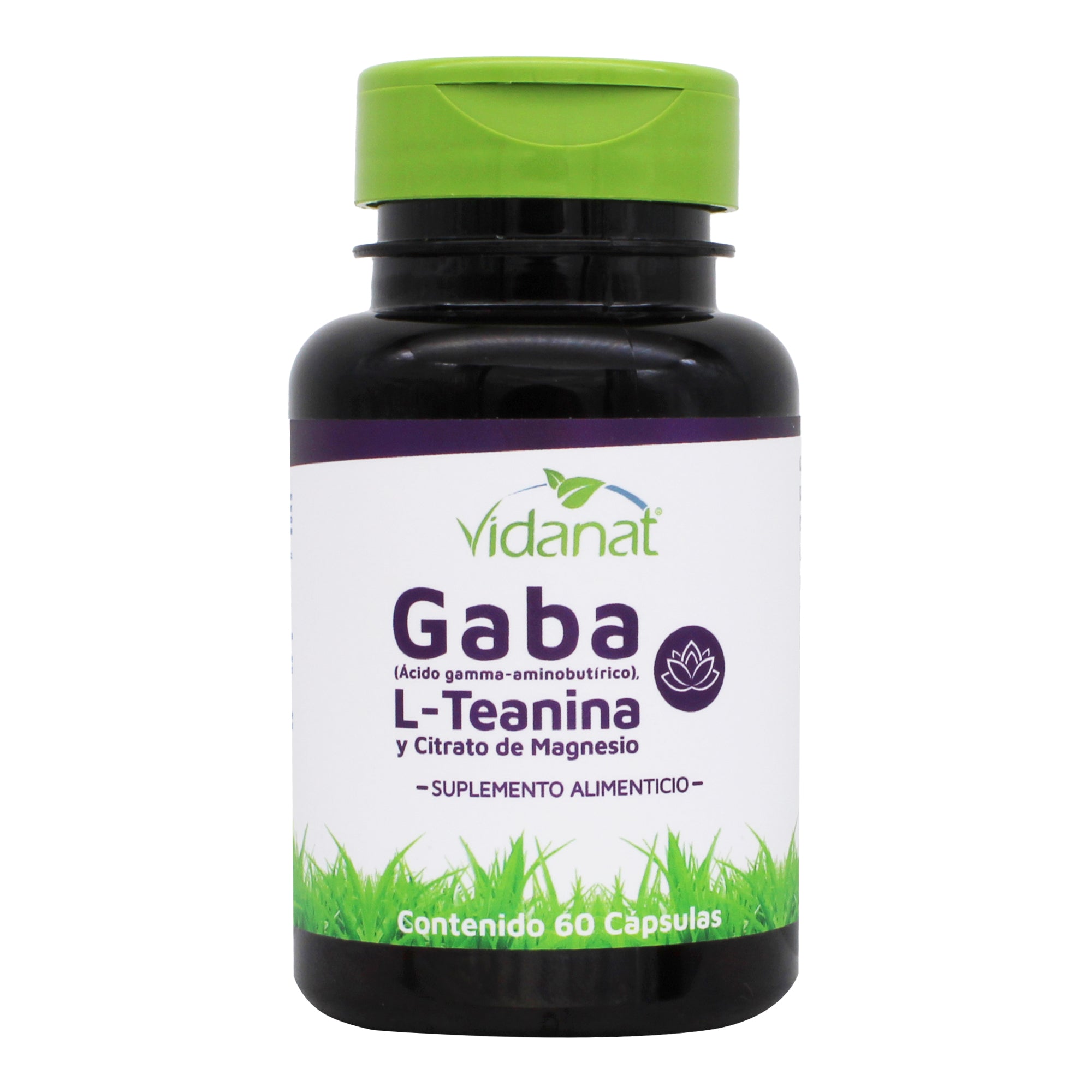 Gaba  L Teanina  Citrato De Magnesio 60 Cap