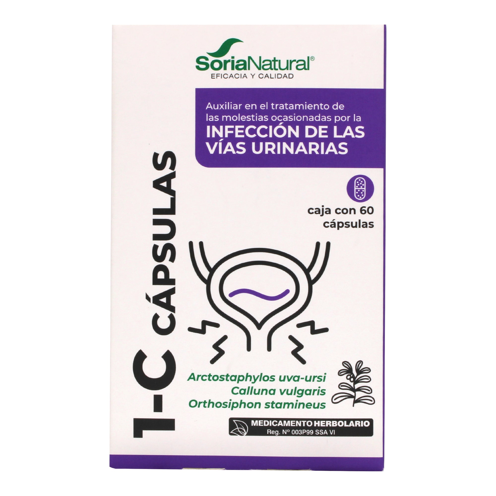1 C 60 Cap