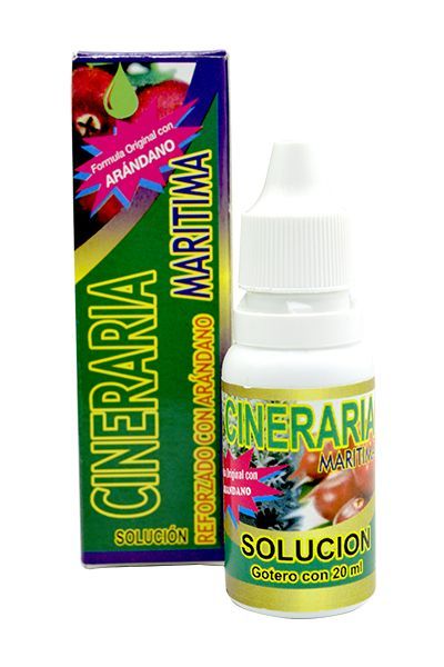 Cineraria Maritima Con Arandano 20 Ml